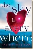 The Sky is Everywhere book, The Sky is Everywhere book review